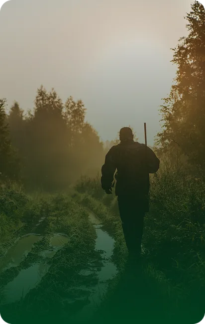 Silhouetted figure walking with a stick on a misty forest path in warm sunlight.