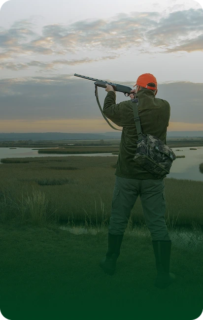 Hunter in orange cap aiming a shotgun over marshland at sunset.